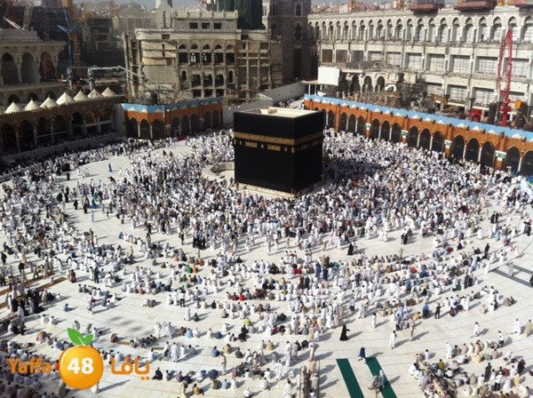 3omranewyaffa326 (75).JPG